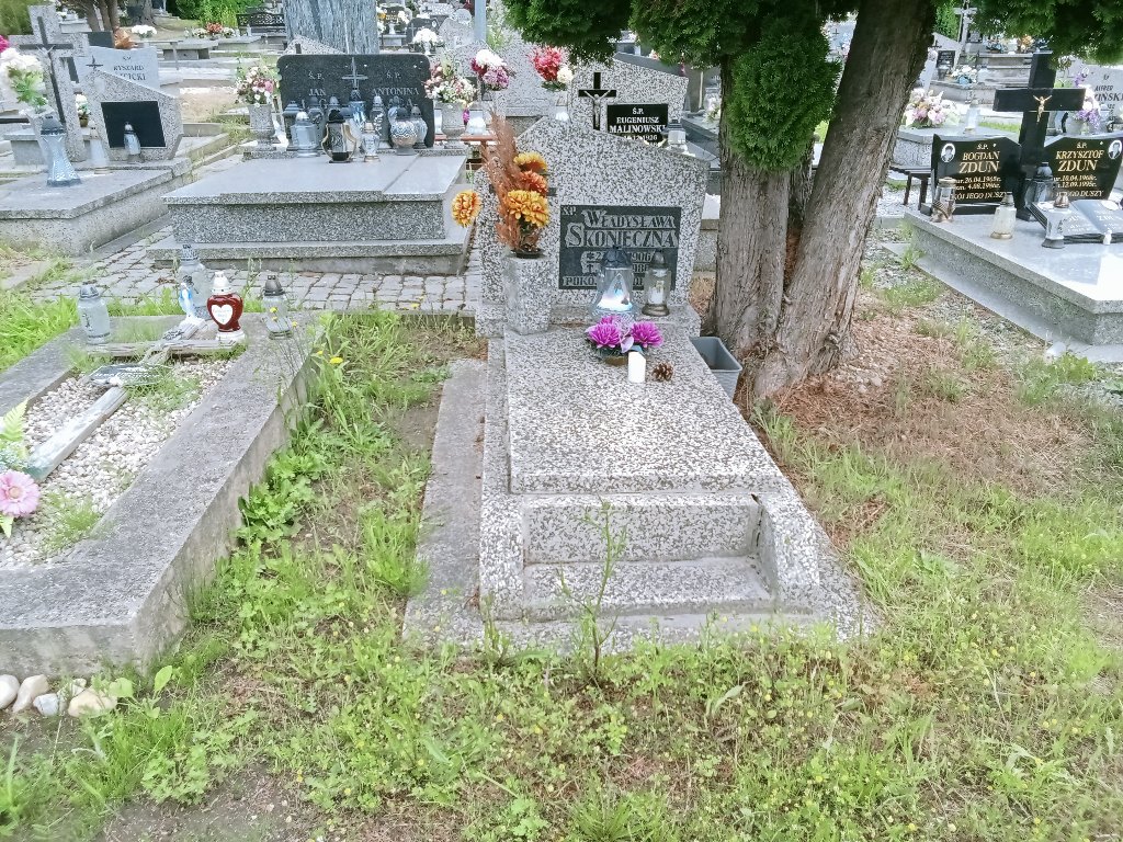 Grób Władysława Skonieczna