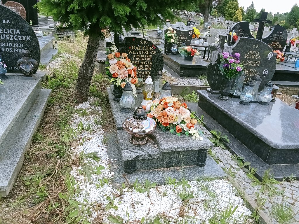 Grób Pelagia Balcer