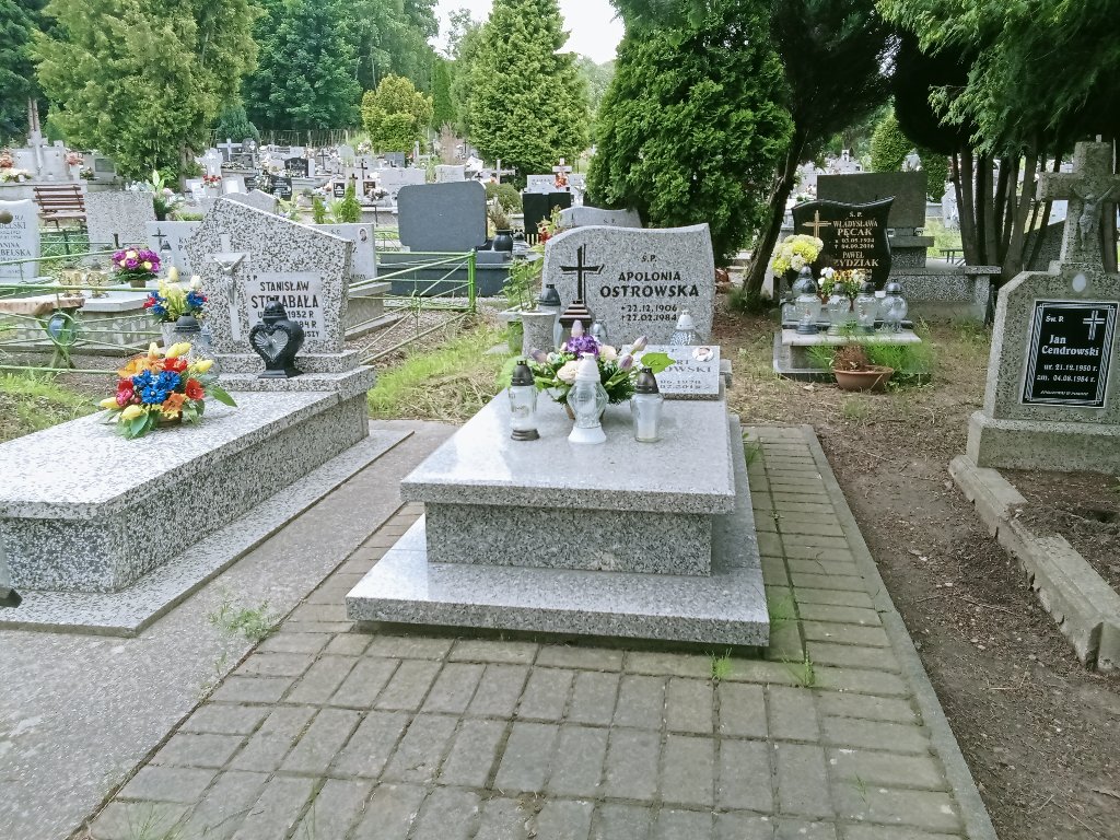 Grób Robert Ostrowski
