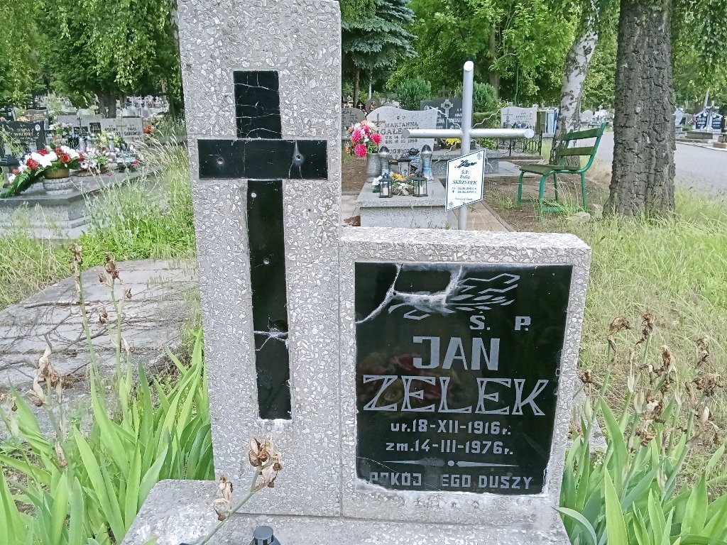 Grażyna ZELEK 1955 Bogatynia - Grobonet - Wyszukiwarka osób pochowanych