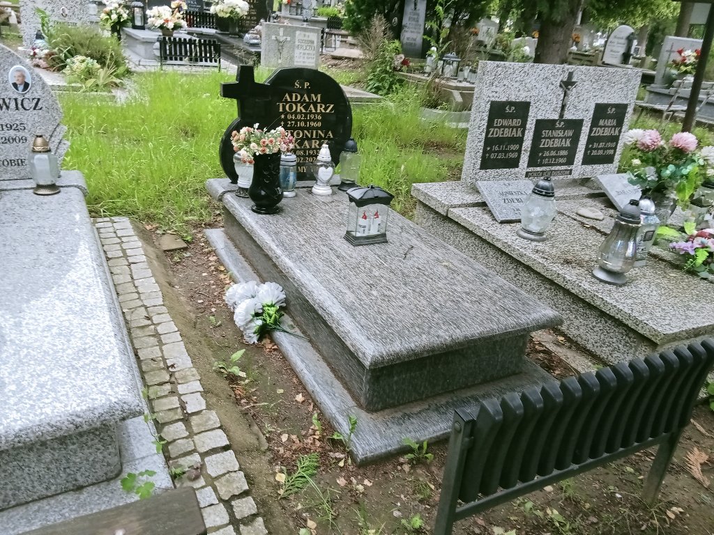 Grób Antonina Tokarz