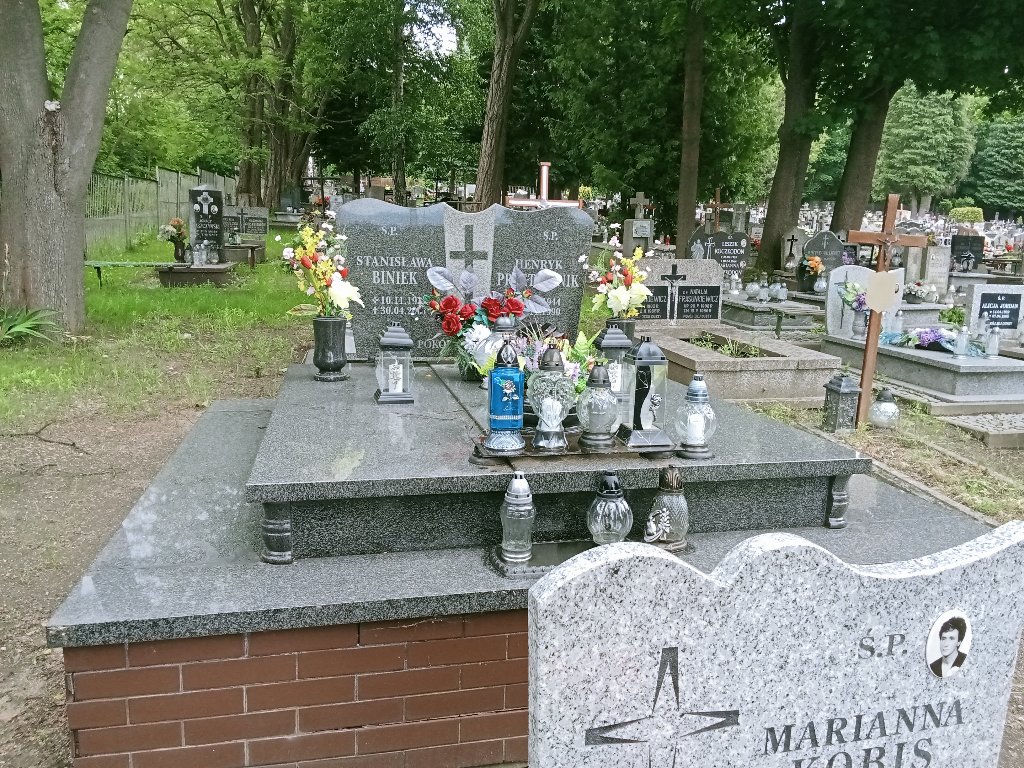 Grób Stanisława Biniek