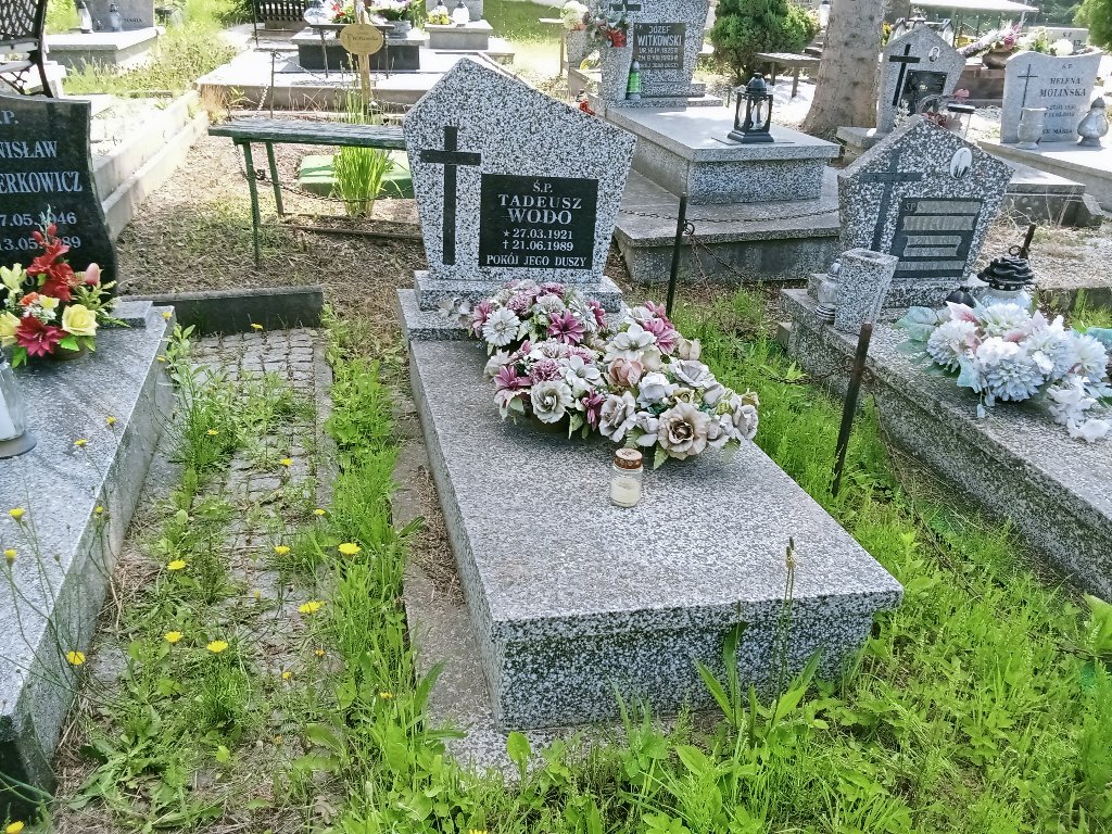 Grób Tadeusz Wodo