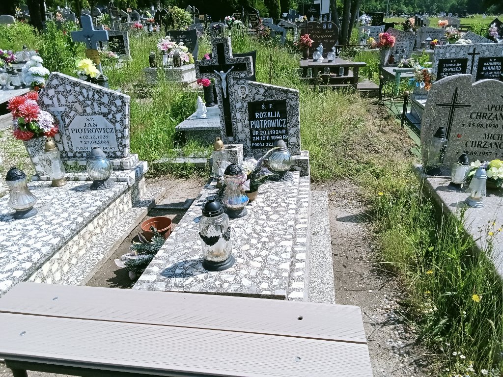 Grób Rozalia Piotrowicz