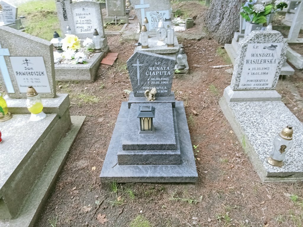 Grób Renata Ciaputa