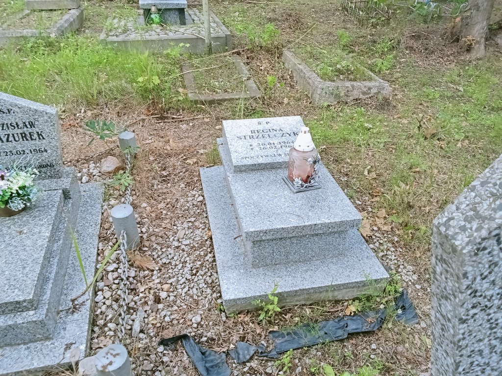 Grób Regina Strzelczyk
