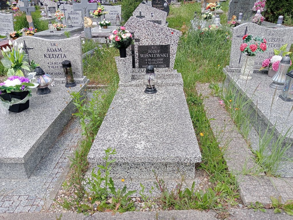 Grób TADEUSZ  WIŚNIEWSKI