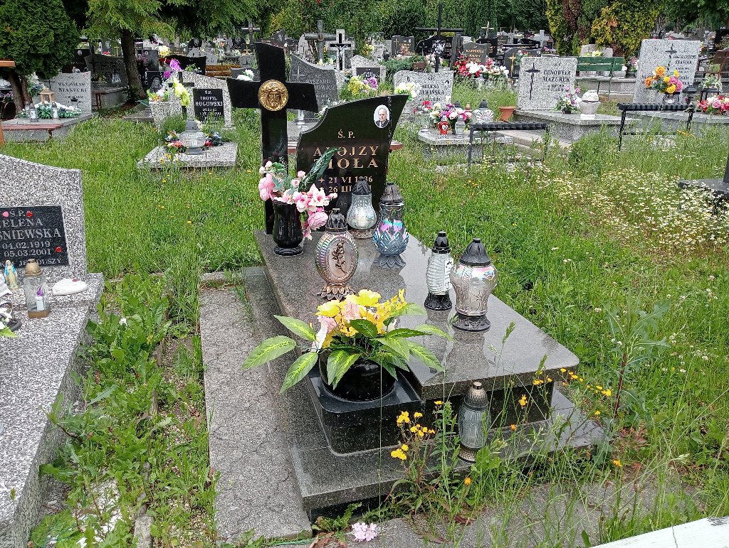 Grób Alojzy Zioła