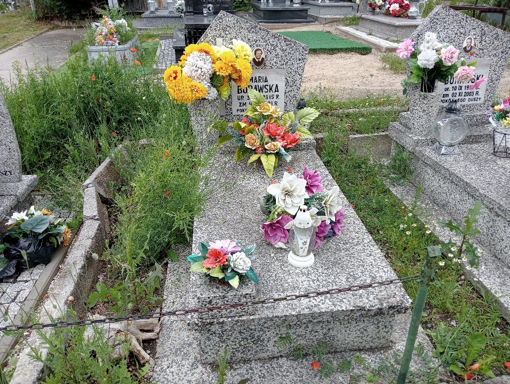 Grób Maria Burawska