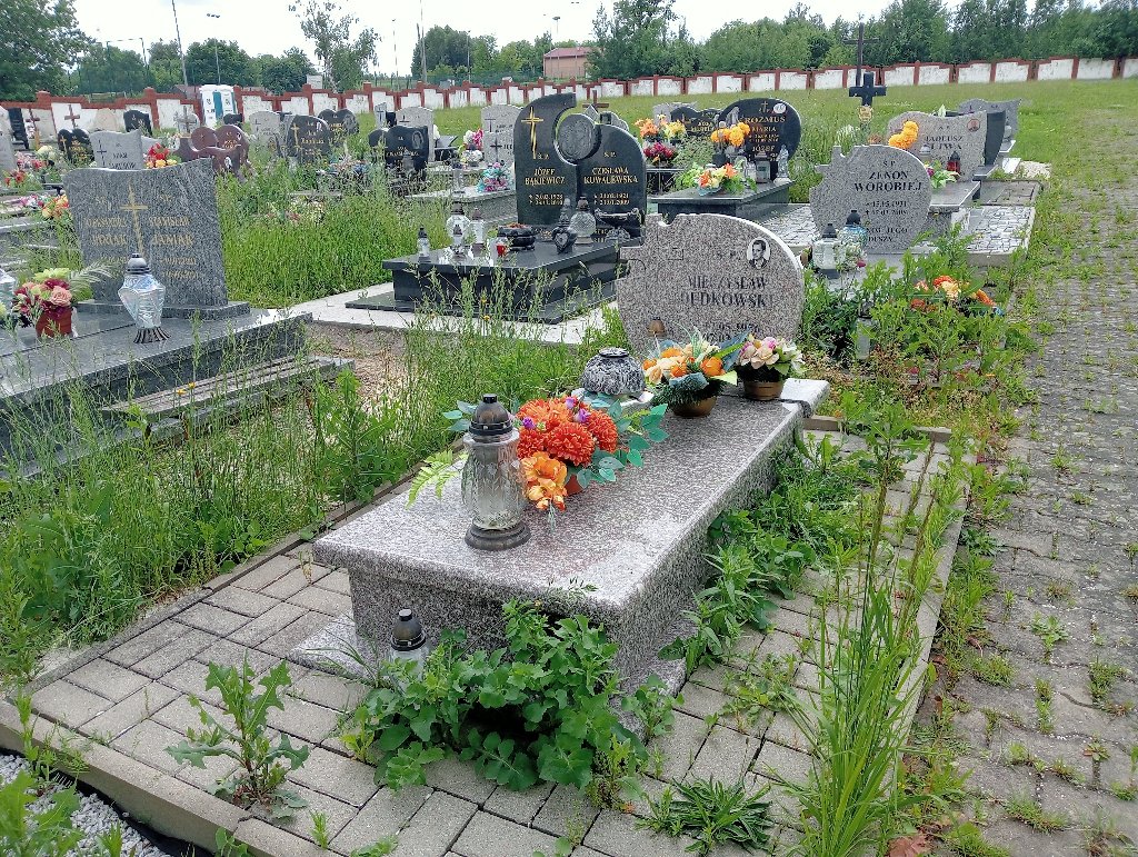 Grób ALEKSANDRA DUDKOWSKA